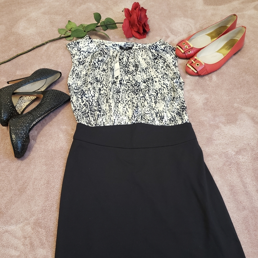 Jacobs Dress - Picture 3 of 7